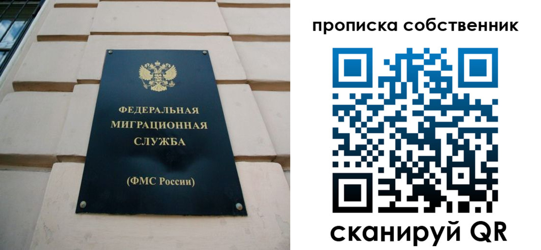 прописка законно в Шилке